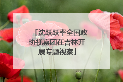 沈跃跃率全国政协视察团在吉林开展专题视察