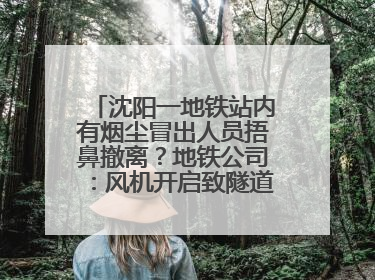 沈阳一地铁站内有烟尘冒出人员捂鼻撤离？地铁公司：风机开启致隧道灰尘飘散至站内