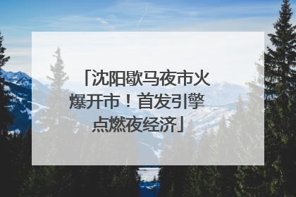 沈阳歇马夜市火爆开市！首发引擎点燃夜经济