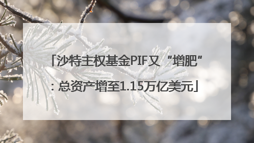 沙特主权基金PIF又“增肥”：总资产增至1.15万亿美元