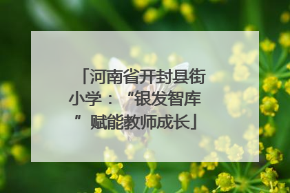 河南省开封县街小学：“银发智库”赋能教师成长