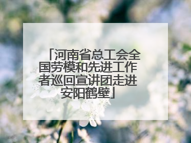 河南省总工会全国劳模和先进工作者巡回宣讲团走进安阳鹤壁