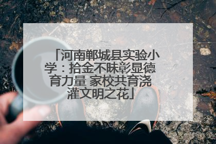 河南郸城县实验小学：拾金不昧彰显德育力量 家校共育浇灌文明之花