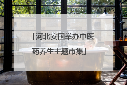 河北安国举办中医药养生主题市集