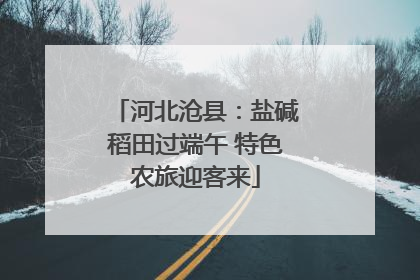 河北沧县：盐碱稻田过端午 特色农旅迎客来