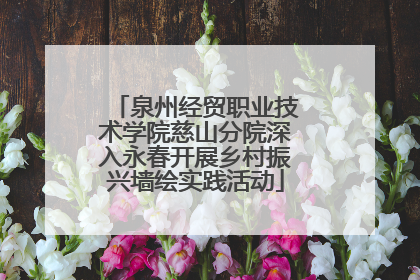 泉州经贸职业技术学院慈山分院深入永春开展乡村振兴墙绘实践活动