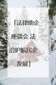 法律助企座谈会 法治护航民企发展