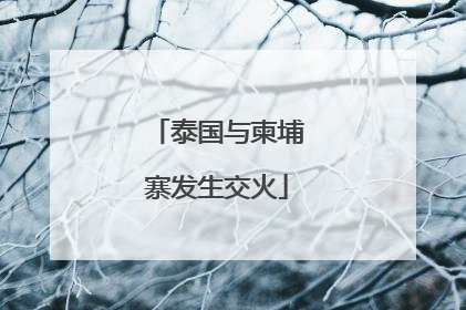 泰国与柬埔寨发生交火