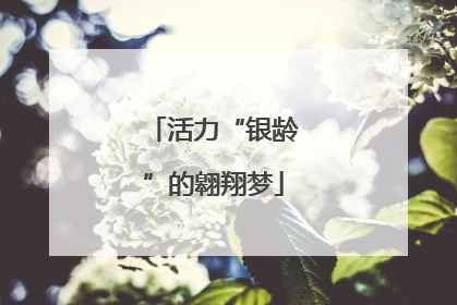 活力“银龄”的翱翔梦
