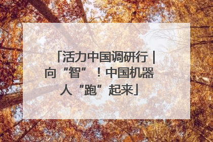活力中国调研行｜向“智”！中国机器人“跑”起来