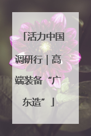 活力中国调研行｜高端装备“广东造”