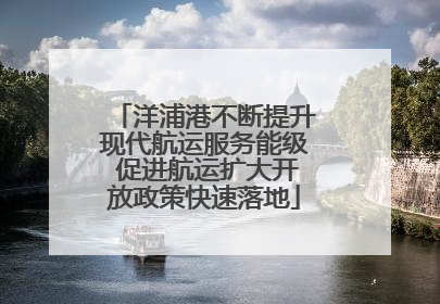 洋浦港不断提升现代航运服务能级 促进航运扩大开放政策快速落地