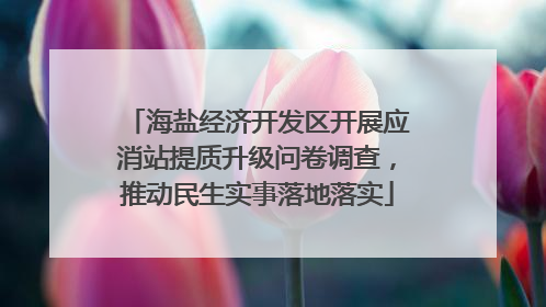 海盐经济开发区开展应消站提质升级问卷调查，推动民生实事落地落实
