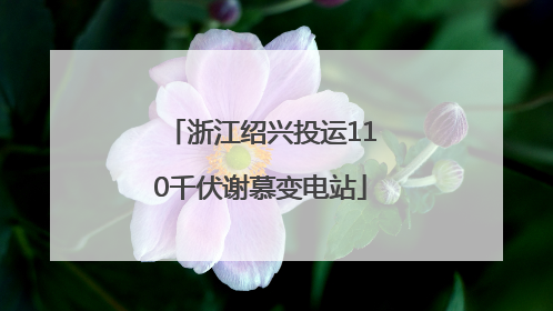 浙江绍兴投运110千伏谢慕变电站