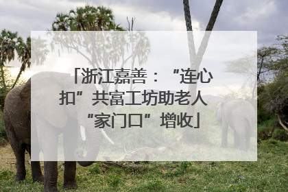 浙江嘉善：“连心扣”共富工坊助老人“家门口”增收