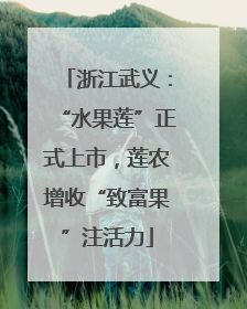 浙江武义：“水果莲”正式上市，莲农增收“致富果”注活力