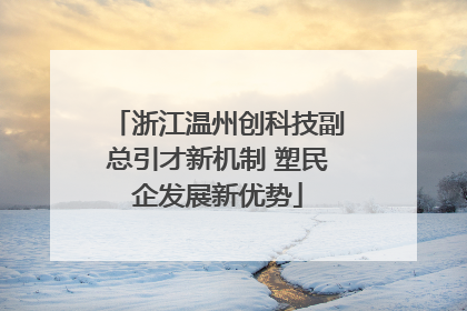 浙江温州创科技副总引才新机制 塑民企发展新优势