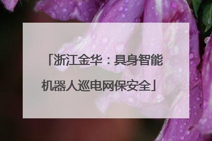 浙江金华：具身智能机器人巡电网保安全