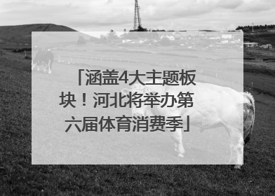 涵盖4大主题板块！河北将举办第六届体育消费季