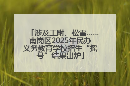 涉及工附、松雷……南岗区2025年民办义务教育学校招生“摇号”结果出炉