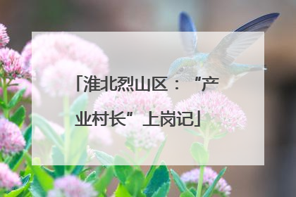 淮北烈山区：“产业村长”上岗记