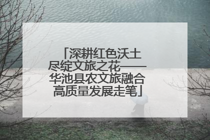 深耕红色沃土 尽绽文旅之花——华池县农文旅融合高质量发展走笔