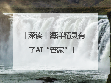 深读丨海洋精灵有了AI“管家”