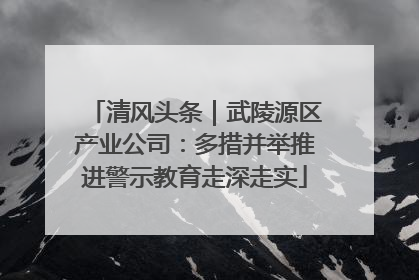 清风头条｜武陵源区产业公司：多措并举推进警示教育走深走实