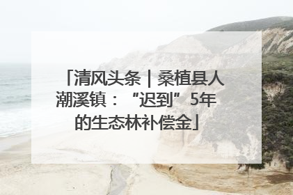 清风头条|桑植县人潮溪镇:“迟到”5年的生态林补偿金