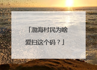 渤海村民为啥爱扫这个码？