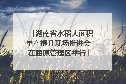 湖南省水稻大面积单产提升现场推进会在屈原管理区举行