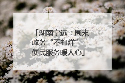 湖南宁远：周末政务“不打烊” 便民服务暖人心