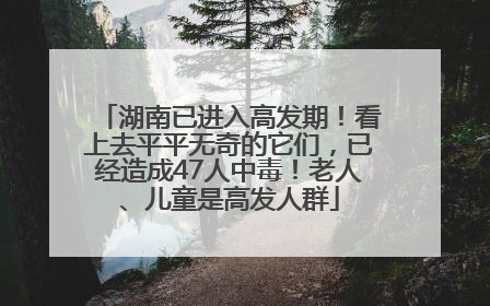 湖南已进入高发期！看上去平平无奇的它们，已经造成47人中毒！老人、儿童是高发人群
