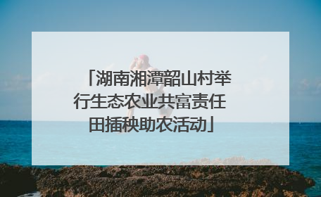 湖南湘潭韶山村举行生态农业共富责任田插秧助农活动