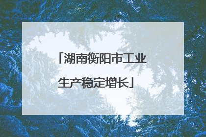 湖南衡阳市工业生产稳定增长