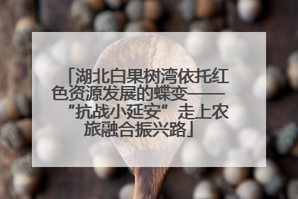 湖北白果树湾依托红色资源发展的蝶变——“抗战小延安”走上农旅融合振兴路
