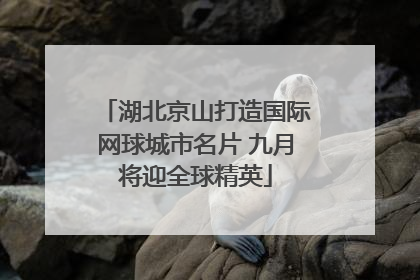 湖北京山打造国际网球城市名片 九月将迎全球精英