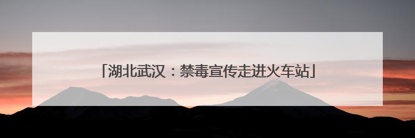 湖北武汉：禁毒宣传走进火车站