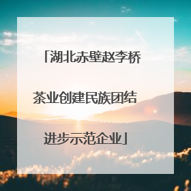 湖北赤壁赵李桥茶业创建民族团结进步示范企业