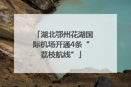 湖北鄂州花湖国际机场开通4条“荔枝航线”