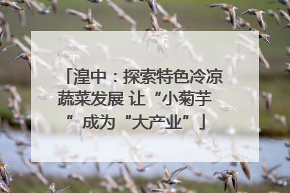 湟中：探索特色冷凉蔬菜发展 让“小菊芋”成为“大产业”
