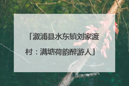 溆浦县水东镇刘家渡村：满塘荷韵醉游人