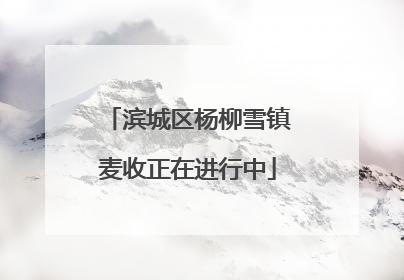 滨城区杨柳雪镇麦收正在进行中