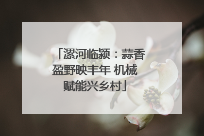 漯河临颍：蒜香盈野映丰年 机械赋能兴乡村