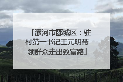 漯河市郾城区：驻村第一书记王元明带领群众走出致富路