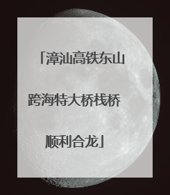漳汕高铁东山跨海特大桥栈桥顺利合龙