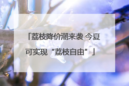 荔枝降价潮来袭 今夏可实现“荔枝自由”