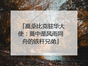 莫桑比克驻华大使：莫中是风雨同舟的铁杆兄弟