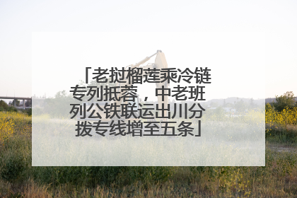 老挝榴莲乘冷链专列抵蓉，中老班列公铁联运出川分拨专线增至五条