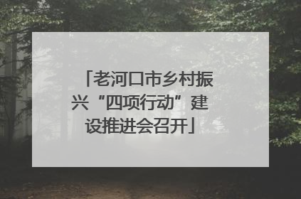 老河口市乡村振兴“四项行动”建设推进会召开